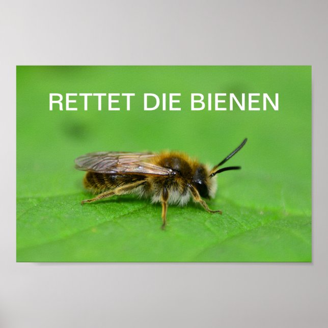 Póster Rettet die Bienen (Frente)