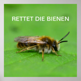 Póster Rettet die Bienen