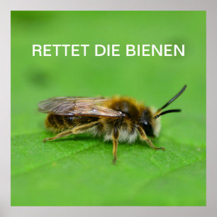 Póster Rettet die Bienen