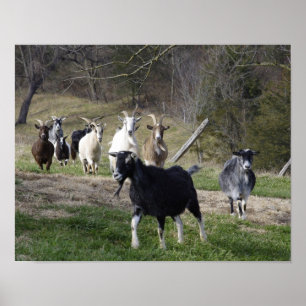 Póster Reunión del poster casero