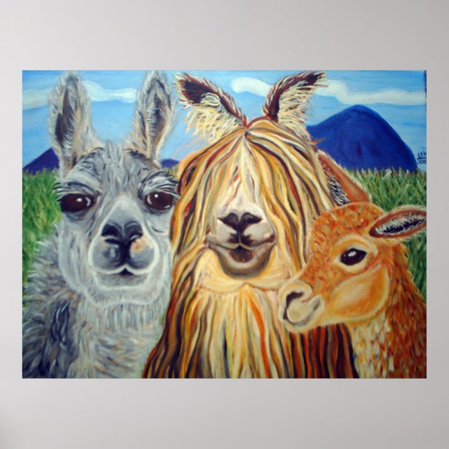 PÓSTER REUNIÓN LLAMAS: LLAMA, ALPACA, VICUNA!!! (Frente)
