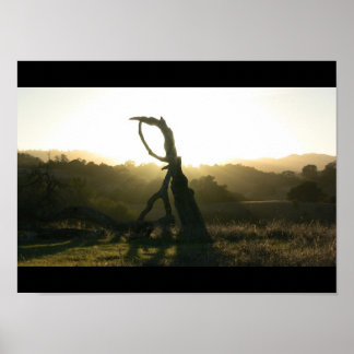 Póster Revelación mística - Poster