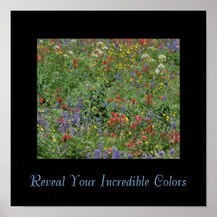 Póster Revelar tus colores increíbles