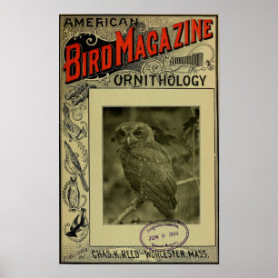 Póster Revista Bird jun. 8 1903