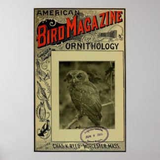 Póster Revista Bird jun. 8 1903