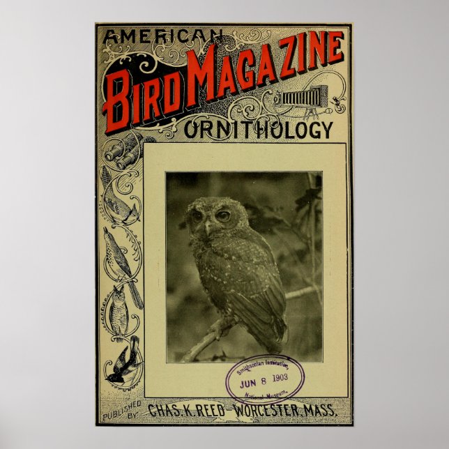 Póster Revista Bird jun. 8 1903 (Frente)