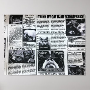 Póster Revista de Gatos