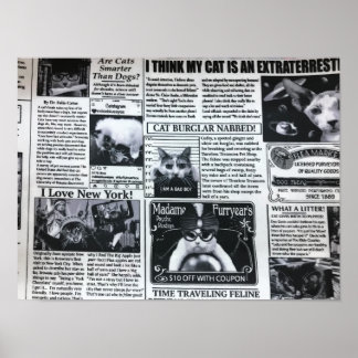 Póster Revista de Gatos