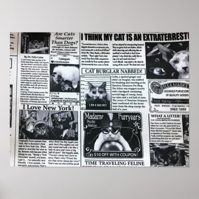 Póster Revista de Gatos (Frente)
