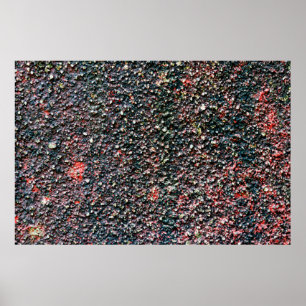 Póster revuelo de craneana