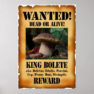 Póster Rey Bolete - Se busca muerto o vivo