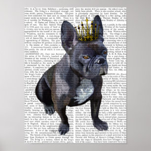 Póster Rey Bulldog francés