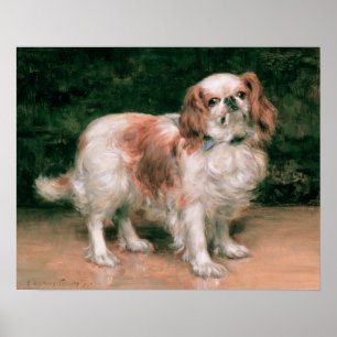 Póster Rey Charles Spaniel, 1907