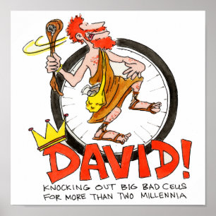 Póster Rey David Poster