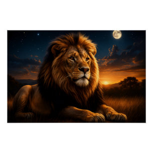 Póster Rey de la noche