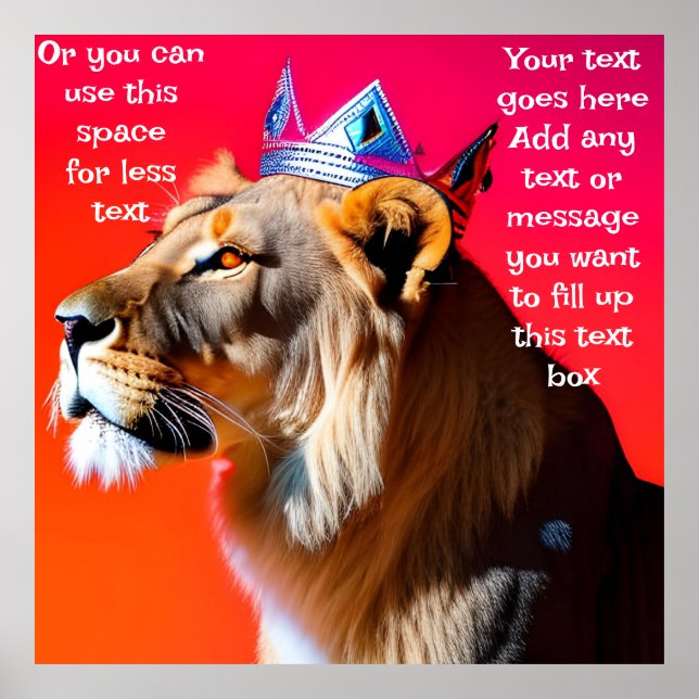 Póster Rey de la Selva (Frente)