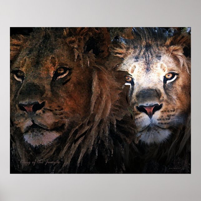 Póster Rey de la Selva (Frente)