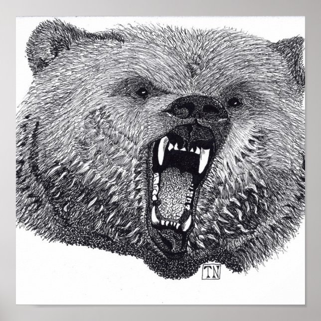 Póster Rey de los Salvajes, poster de oso pardo. (Frente)