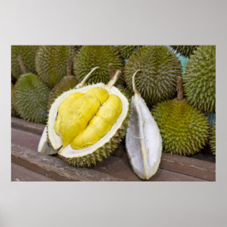 Póster Rey Durio de Frutas en la ciudad de Singapur