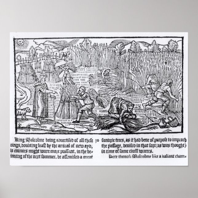 Póster Rey Malcolm de Escocia (Frente)