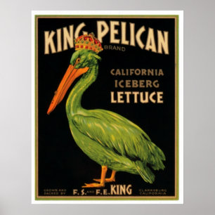 Póster Rey Pelican Lettuce