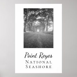 Póster Reyes de puntos