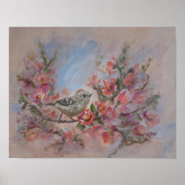 Póster Reyezuelo de Corona Rubí