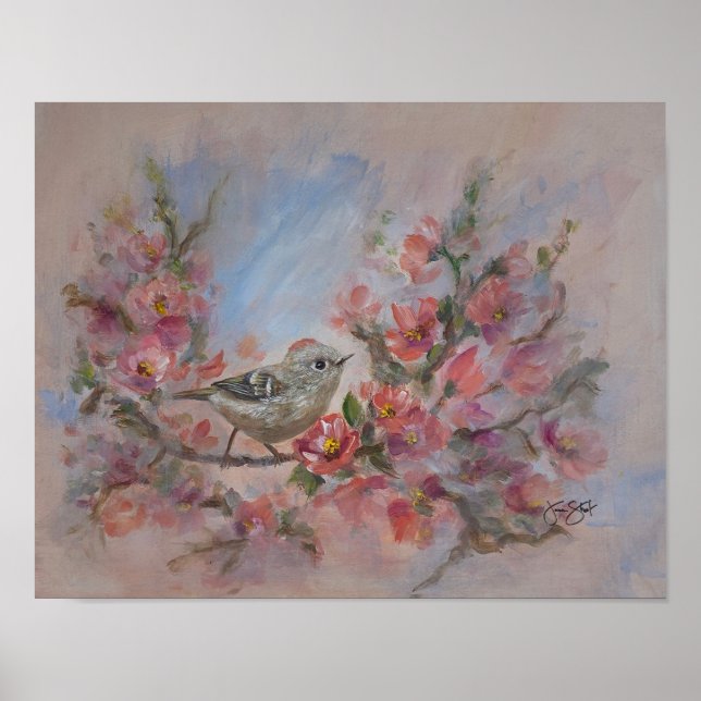 Póster Reyezuelo de Corona Rubí (Frente)