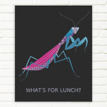 Póster Rezando el texto Personalizado de Mantis<br><div class="desc">Una graciosa mantis de oración para los amantes de los insectos y los insectos. Algunas mujeres que oran mantis comen a sus novios. ¡Eek! Agregue su propio texto al personalizar con un nombre,  frase o chiste.</div>