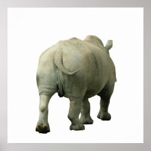 Póster Rhino