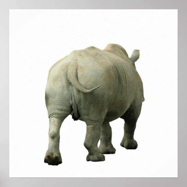 Póster Rhino (Frente)