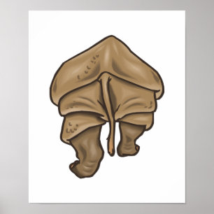Póster rhino butt