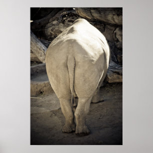 Póster Rhino Butt
