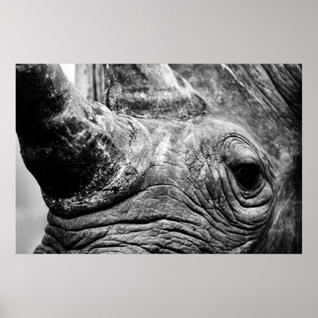 Póster Rhino de B&W (Frente)