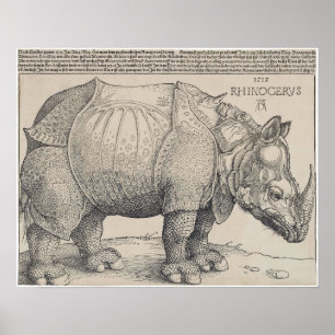 PÓSTER RHINOCERO DE DURER DE 1515