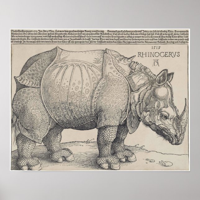 PÓSTER RHINOCERO DE DURER DE 1515 (Frente)