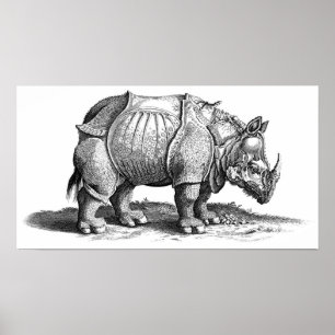 Póster Rhinoceros