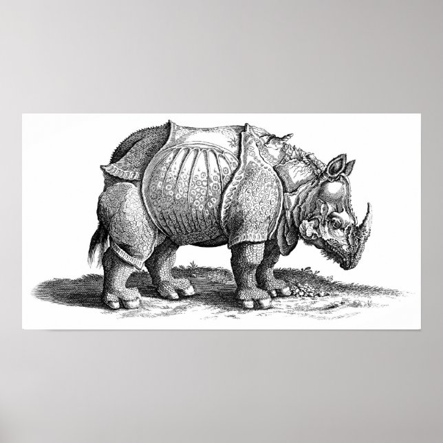 Póster Rhinoceros (Frente)