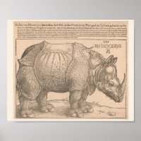 Rhinoceros - Albrecht Dürer 1515 Gravure Woodcut