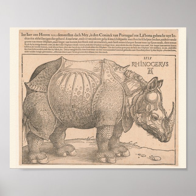 Póster Rhinoceros - Albrecht Dürer 1515 Gravure Woodcut (Frente)