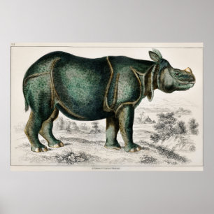 Póster Rhinoceros by Oliver Goldsmith