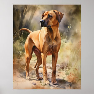 Póster Rhodesia Ridgeback Dog Art Print Poster