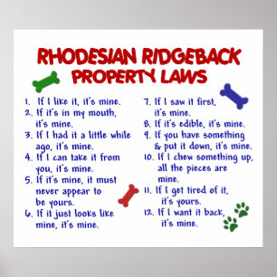 PÓSTER RHODESIAN RIDGEBACK