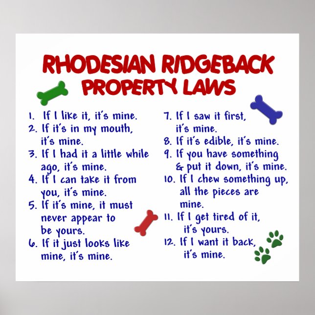 PÓSTER RHODESIAN RIDGEBACK (Frente)