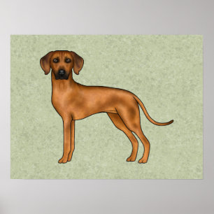 Póster Rhodesian Ridgeback Marrón León Perro Dibujo Anima