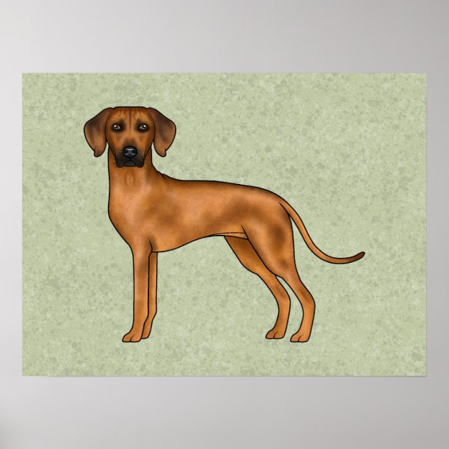 Póster Rhodesian Ridgeback Marrón León Perro Dibujo Anima (Frente)