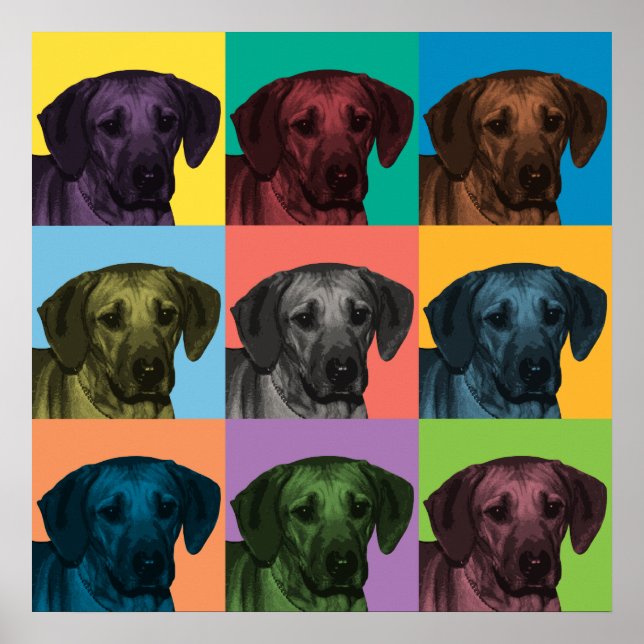 Póster Rhodesian Ridgeback Poster de Pop-Art (Frente)