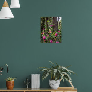 Póster Rhododendro Rosa en una Fotografía Floral de Bosqu