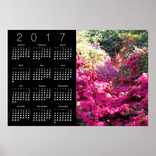 Póster Rhododendron Calendar Poster 2017 (Frente)