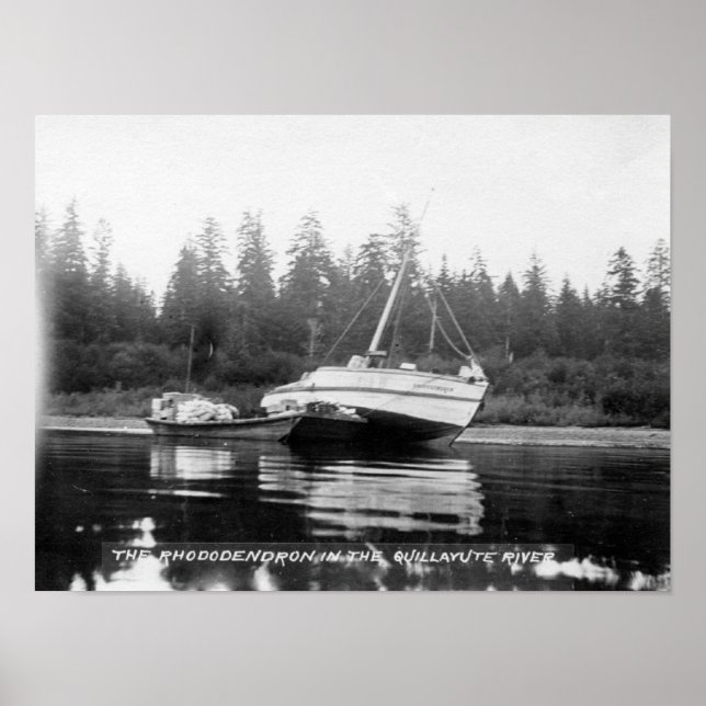 Póster Rhododendron en el río Quillayute (Frente)